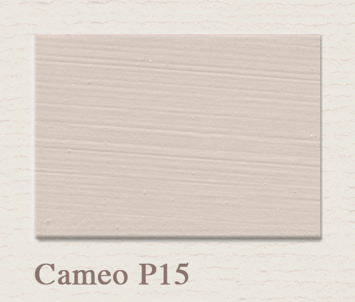Painting the Past Cameo P15