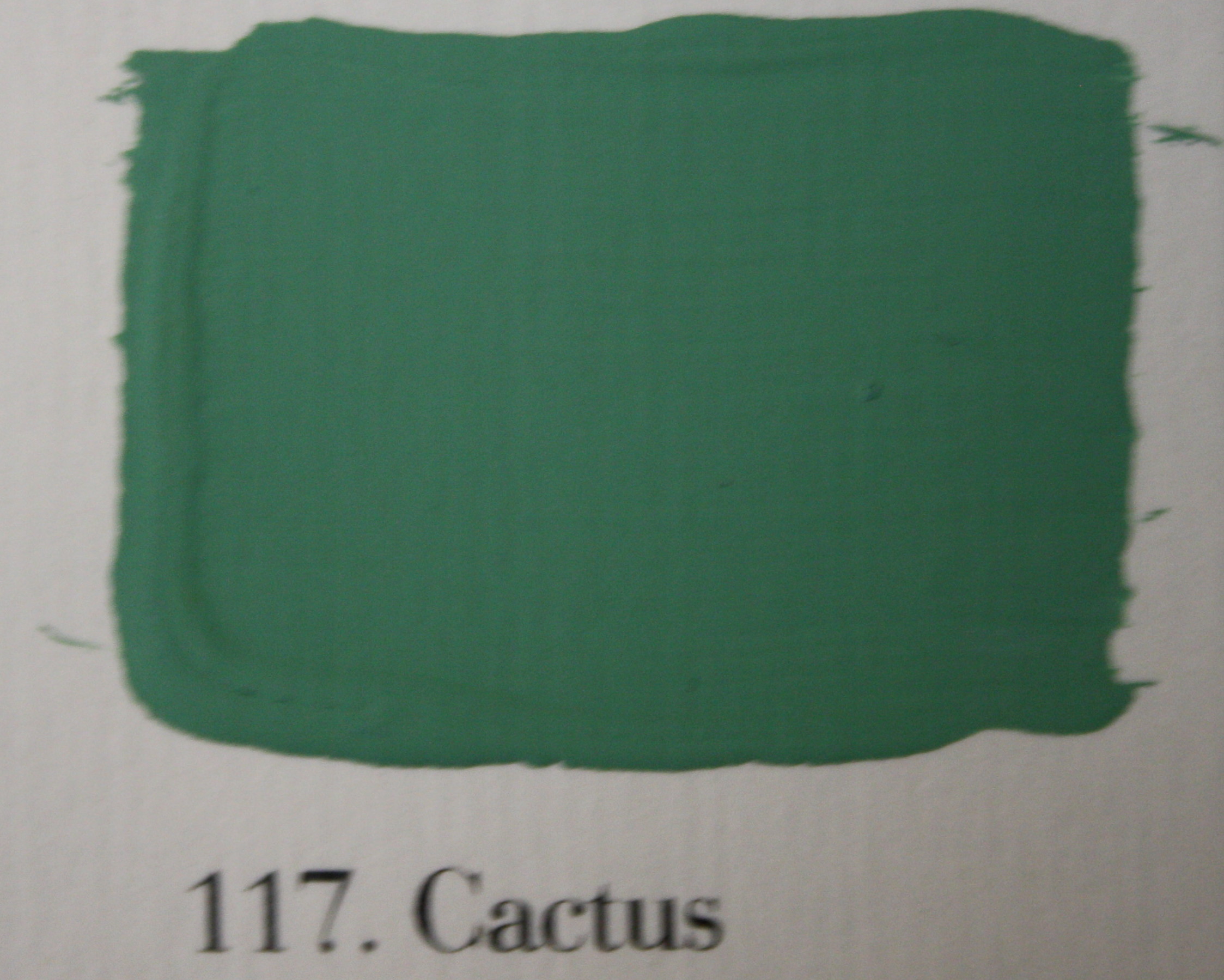 'l Authentique krijtverf 117. Cactus