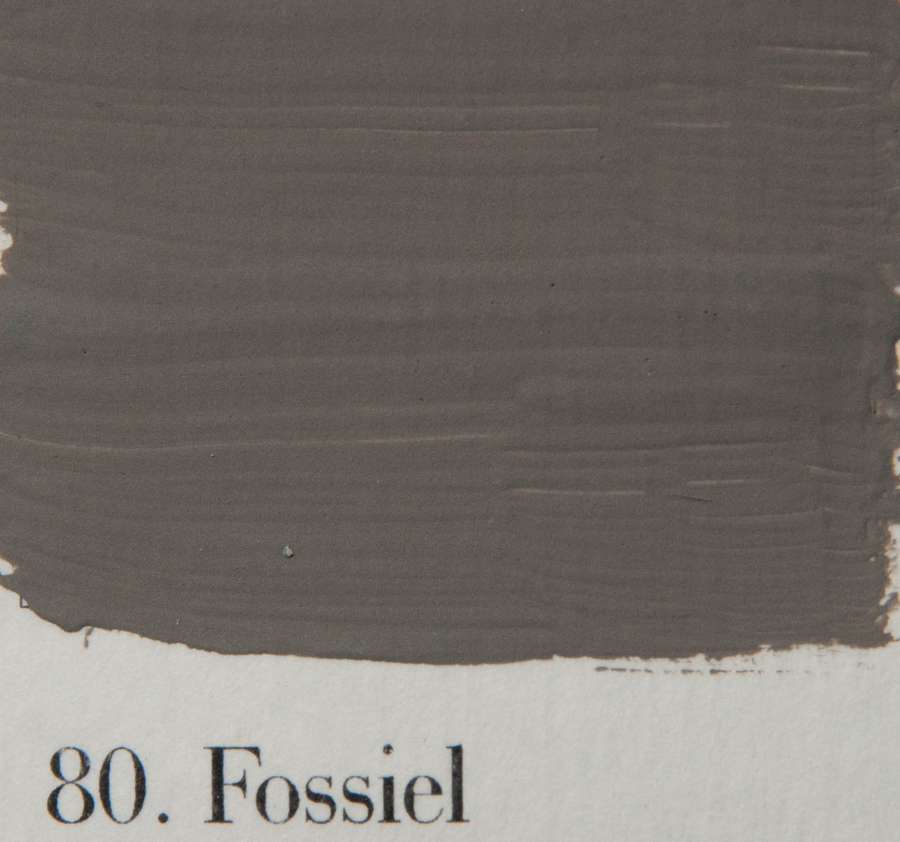 'l Authentique krijtverf 80. Fossiel