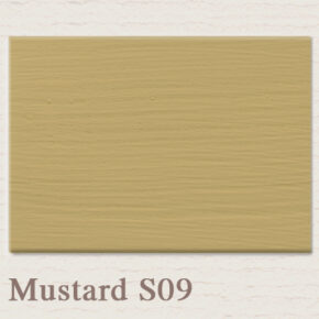 Painting the Past Mustard S09 't Maaseiker Woonhuys