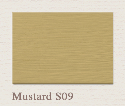 Painting the Past Mustard S09 't Maaseiker Woonhuys