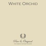 Pure & Original White Orchid 't Maaseiker Woonhuys