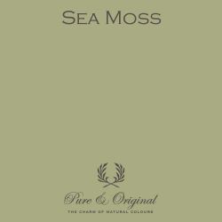 pure-original_Sea Moss 't Maaseiker Woonhuys