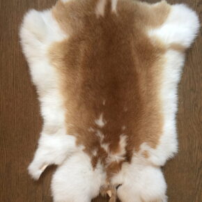 Konijnenvachtje 1e keus online verkrijgbaar bij 't Maaseiker Woonhuys