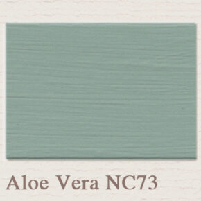 Painting the Past Aloe Vera NC73