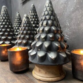 stoer kerstboompje 't Maaseiker Woonhuys