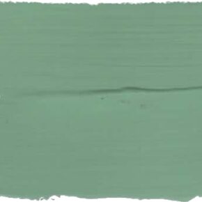 L'Authentique cactus 't Maaseiker Woonhuys