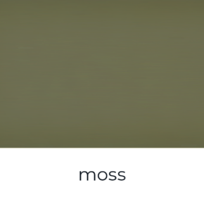 Paint of Walinoon Moss 't Maaseiker Woonhuys