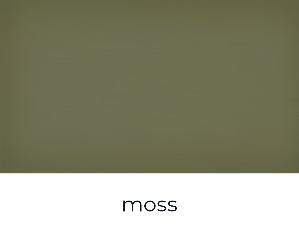 Paint of Walinoon Moss 't Maaseiker Woonhuys Paint of Walinoon Moss 't Maaseiker Woonhuys