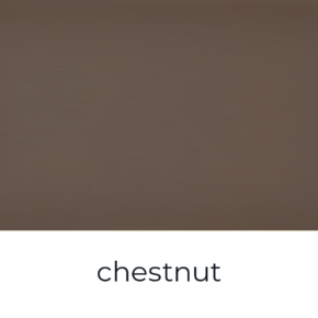 Paint of Walinoon Chestnut 't Maaseiker Woonhuys